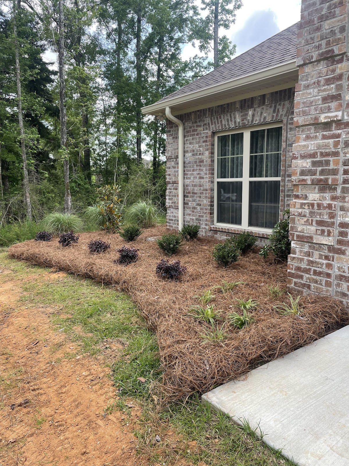 Landscaping and lawn care work by Greenscape Services